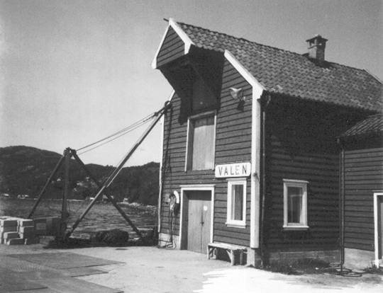 kaienfør
