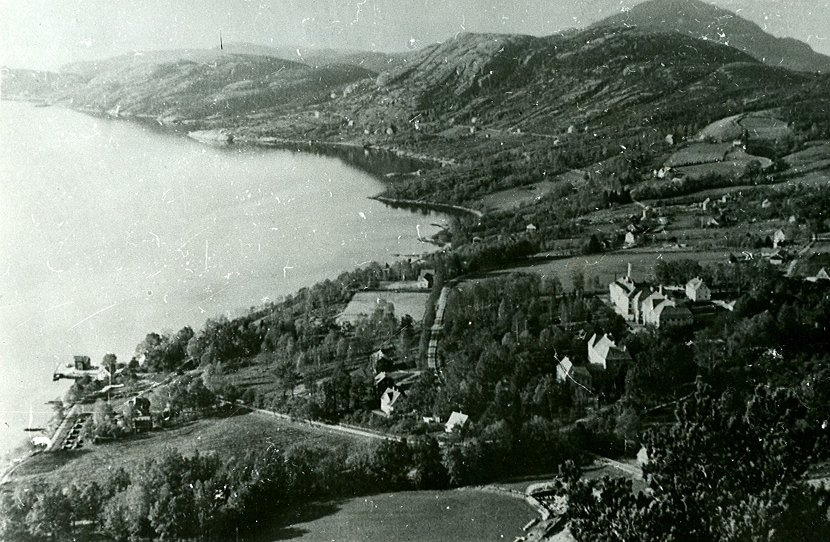overyn30-40
